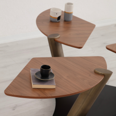 Picasso Mekanizmalı Sehpa PİRİNÇ