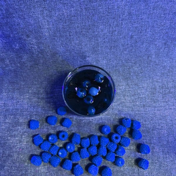 Blueberry Jam | Cam Mum