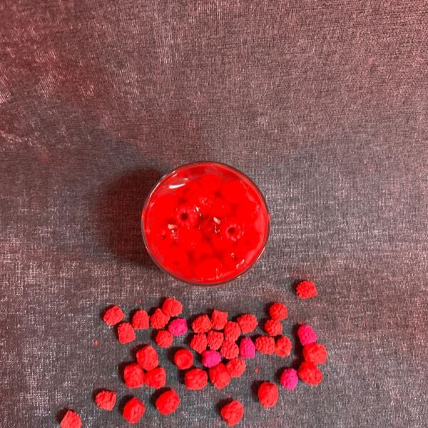 Raspberry Cheesecake | Cam Mum