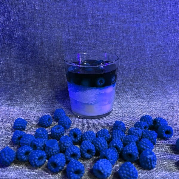 Blueberry Cheesecake | Cam Mum