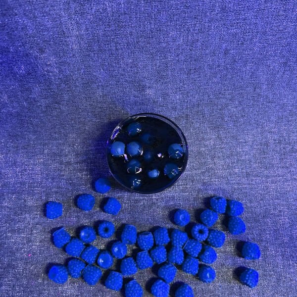 Blueberry Cheesecake | Cam Mum