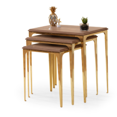 Santos Gold Kaman Zigon Sehpa