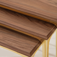 Santos Gold Kaman Zigon Sehpa