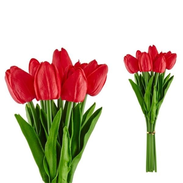 Islak Dokulu Lale Kırmızı 10 lu
