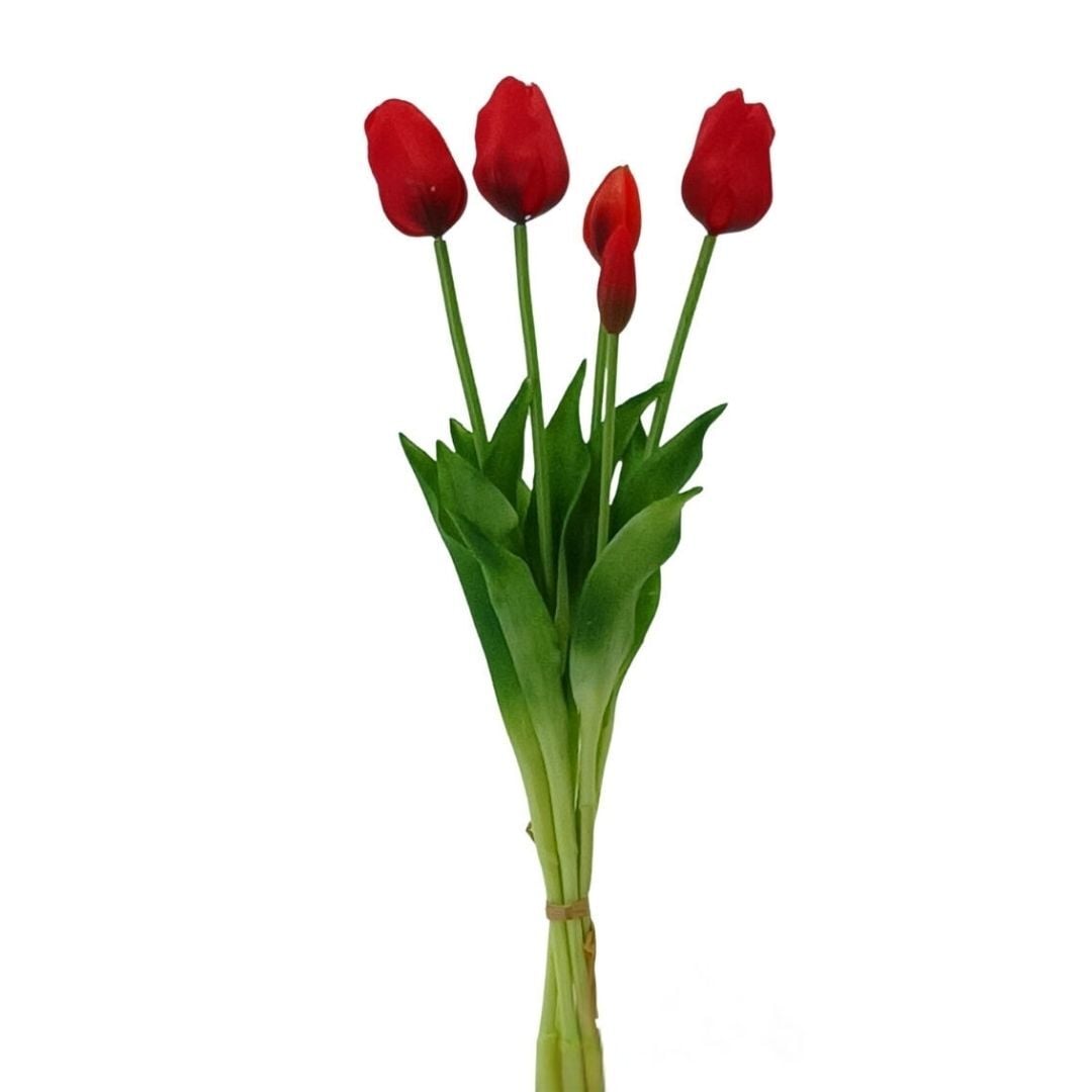 Islak Dokulu Lale Kırmızı  5 Lİ
